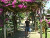 The garden of our resort in Mui Ne