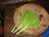 Vietnamese cabbage